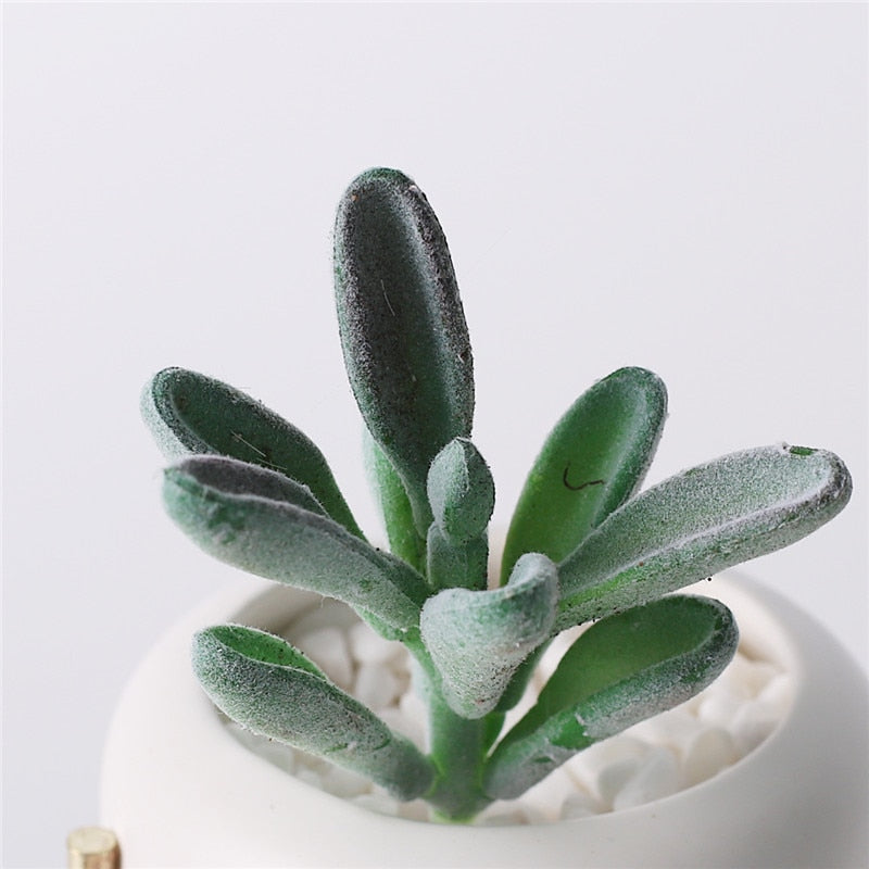 Artificial Plants Suculentas For Home Decor