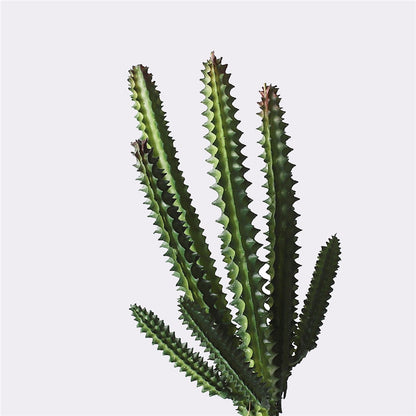 Artificial Plants Suculentas For Home Decor