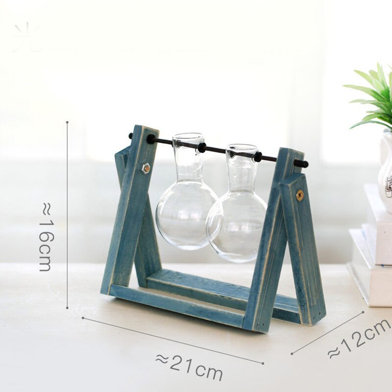 Creative Vase, Hydroponic Plant Transparent Glass Vase