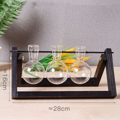 Creative Vase, Hydroponic Plant Transparent Glass Vase