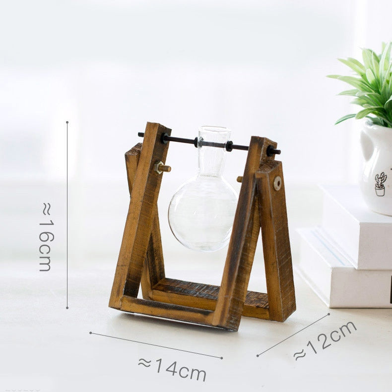 Creative Vase, Hydroponic Plant Transparent Glass Vase